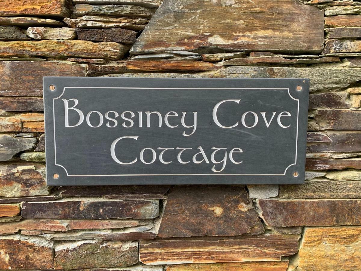 Bossiney Cove Cottage 廷塔杰尔 外观 照片